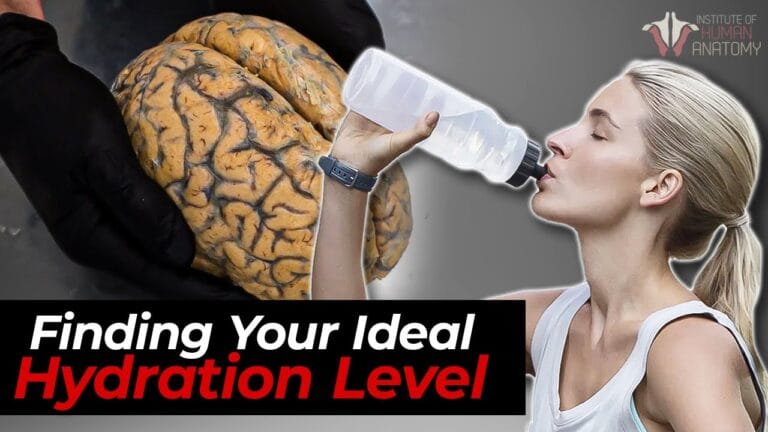 The Science of Hydration: How Much Water Do You Really Need?